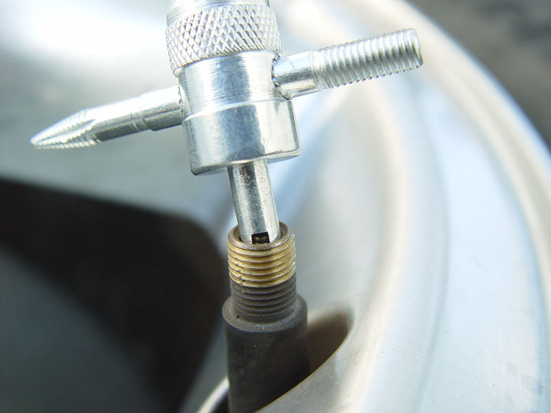 Coilhose Pneumatics Four-Way Schrader Valve Repair Tool (A600)