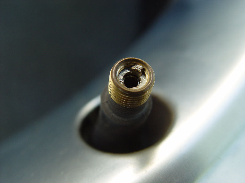 Coilhose Pneumatics Four-Way Schrader Valve Repair Tool (A600)