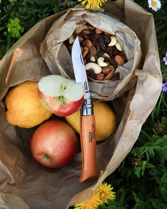 Opinel No.08 Carbone Carbon Steel Folding Knife at Expedition Exchange