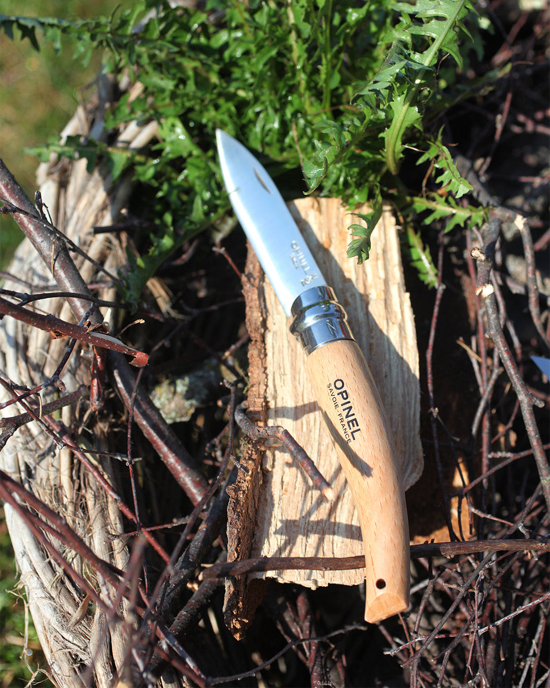 Opinel No.08 Garden Knife at Expedition Exchange