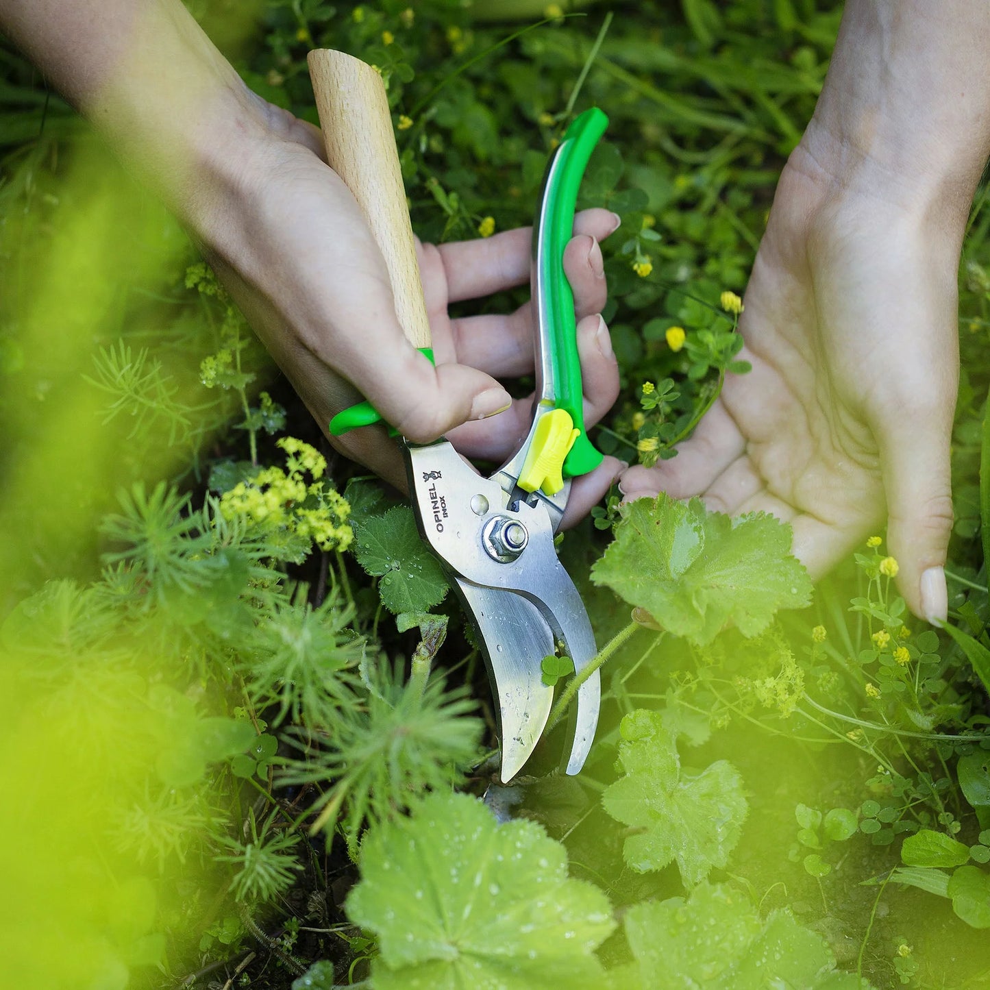 Opinel Green Hand Pruner (001628) Expedition Exchange