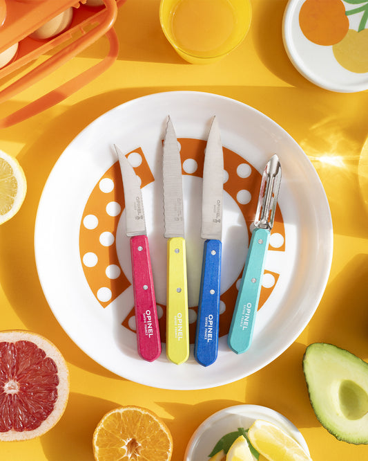 Opinel Les Essentiels du Cuisinier Pop 80 Set (003208) Expedition Exchange Pink Yellow Blue Green