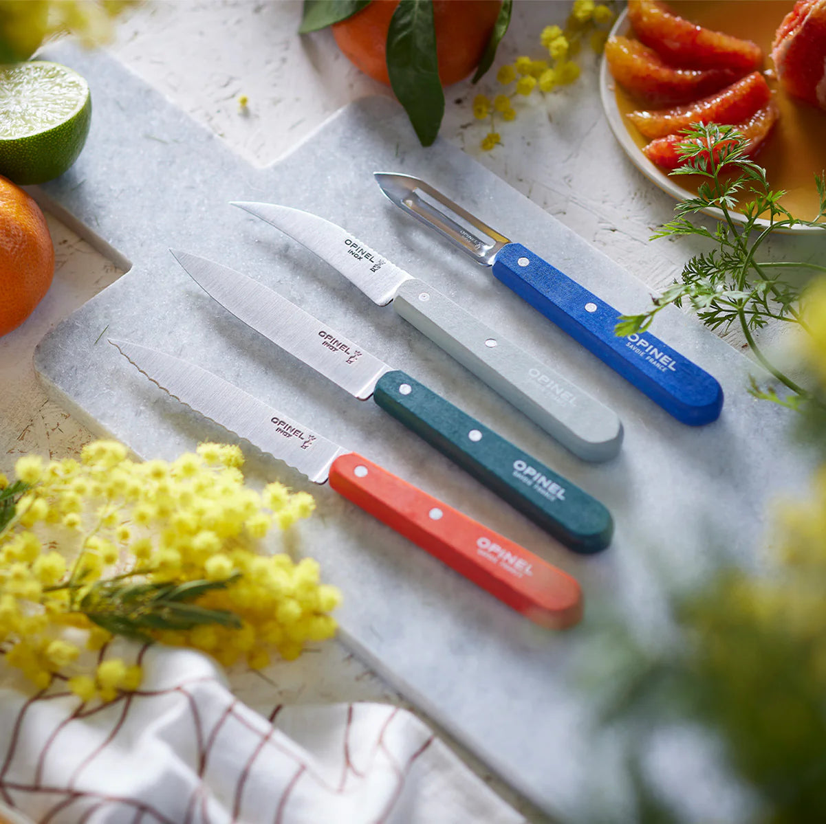 Opinel Les Essentiels du Cuisinier Primo Set (002576) Expedition Exchange Cutting Board Orange Green Gray Blue
