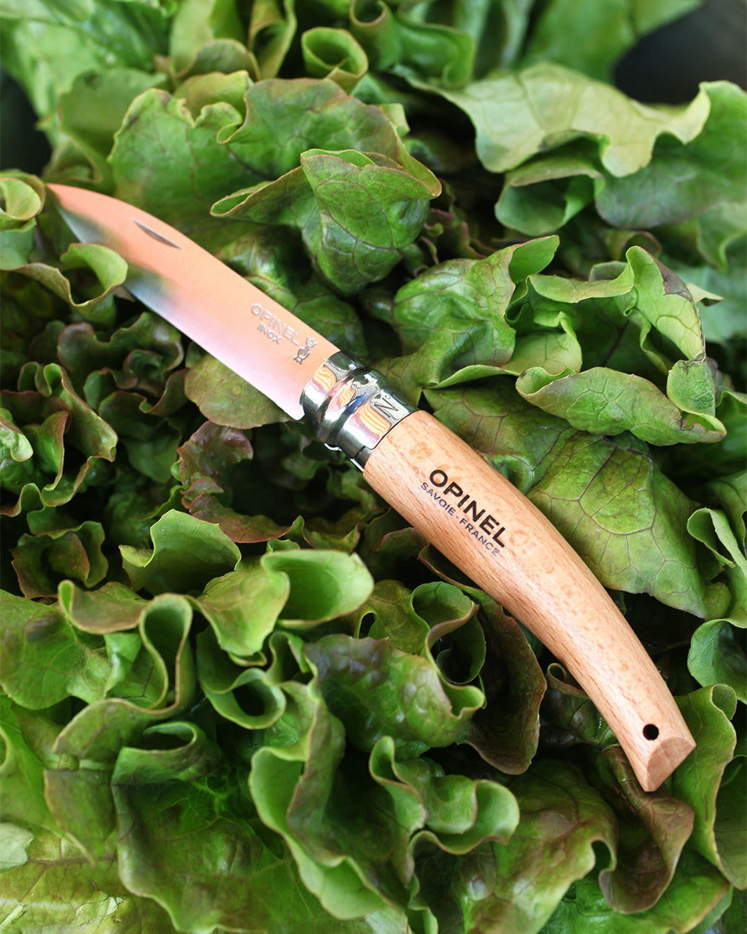 Opinel No.08 Garden Folding Knife (133080) Expedition Exchange 