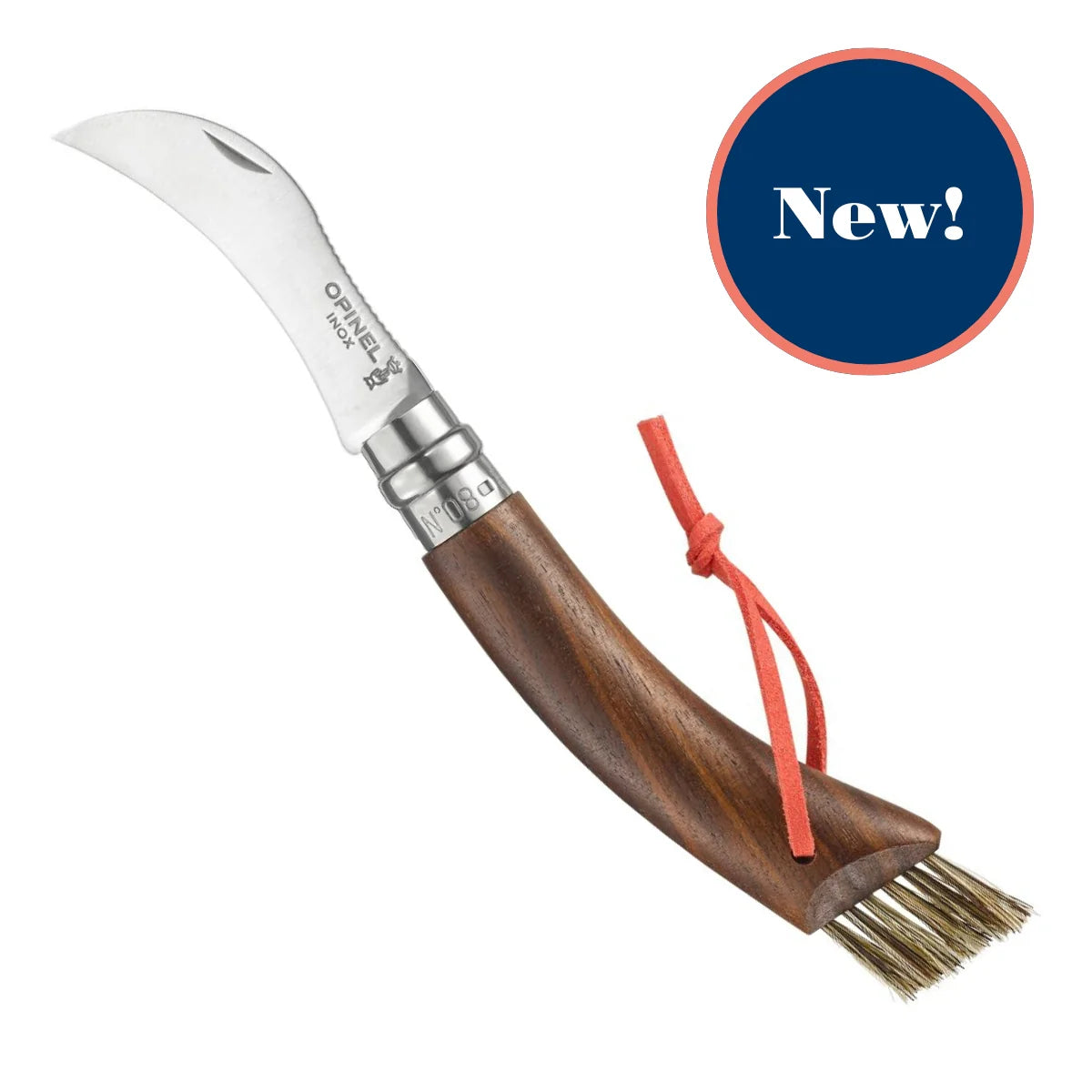 Opinel No.08 Mushroom BLACK WALNUT Folding Knife (003250) Expedition Exchange American Black Walnut Handle Varnished Boar's Hair Brush Bristles Bright Orange Lanyard