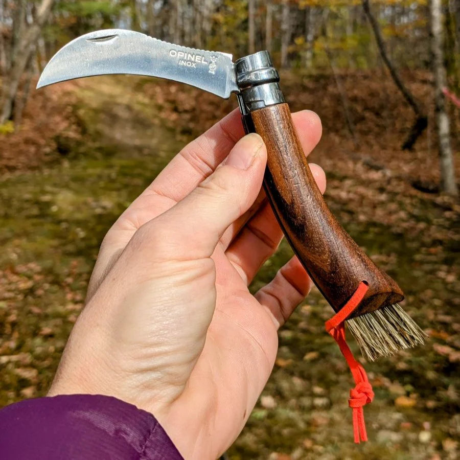 Opinel No.08 Mushroom BLACK WALNUT Folding Knife (003250) Expedition Exchange American Black Walnut Handle Varnished Boar's Hair Brush Bristles Bright Orange Lanyard