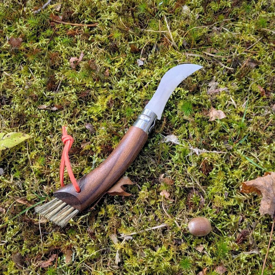 Opinel No.08 Mushroom BLACK WALNUT Folding Knife (003250) Expedition Exchange American Black Walnut Handle Varnished Boar's Hair Brush Bristles Bright Orange Lanyard