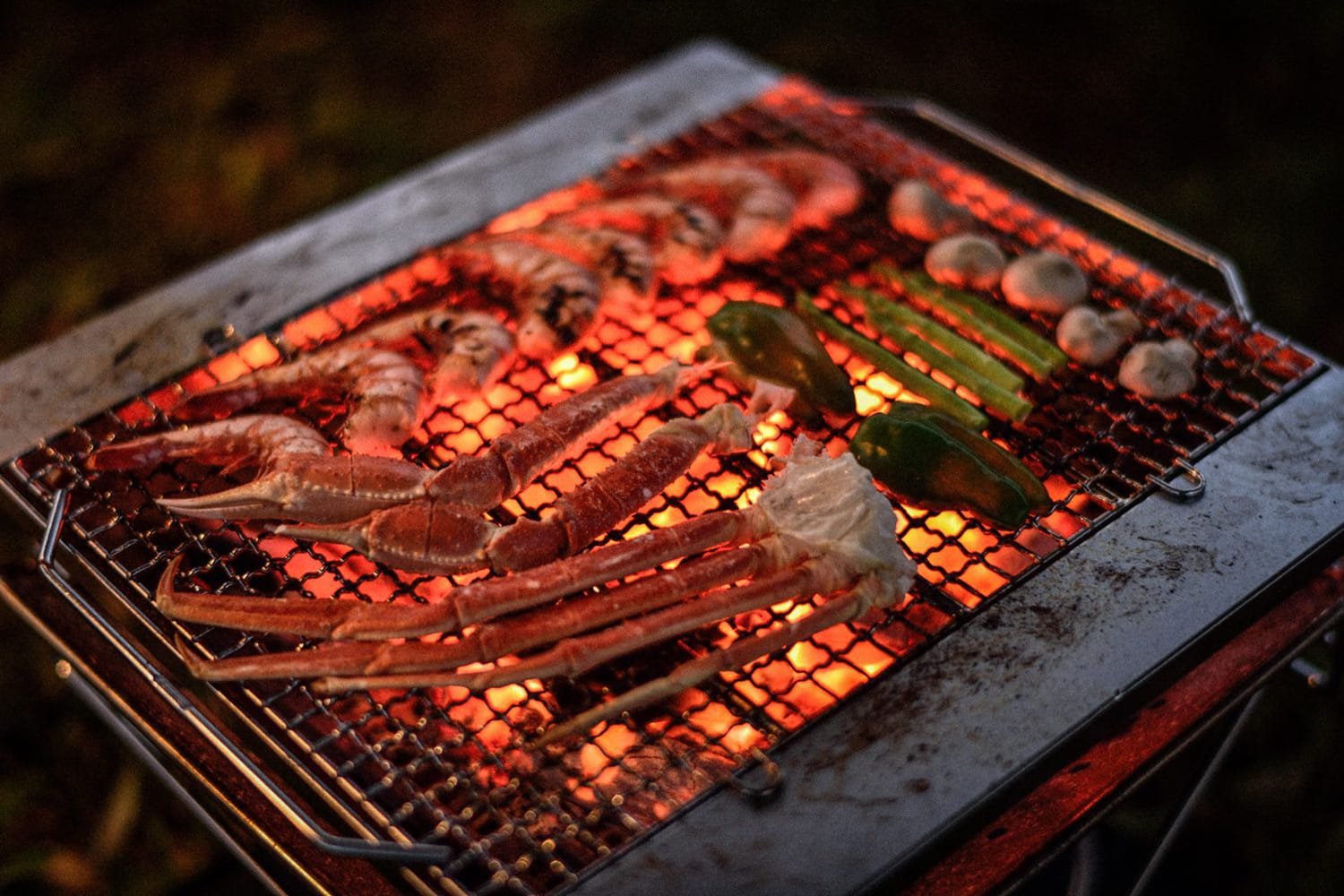 Snow Peak Takibi Large Fireplace Set Grilled Grab Peppers Mushrooms Charcoal Campfire Expedition Exchange