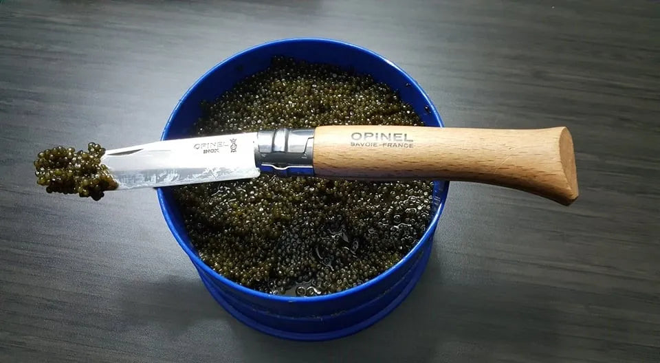 Opinel No.08 Stainless Steel Folding Knife (000405)