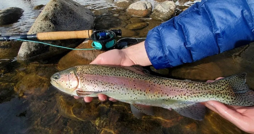 REYR Gear First Cast 4wt Travel Fly Rod + Reel (RG-06)