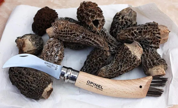 Opinel No.08 Mushroom Folding Knife (001252)