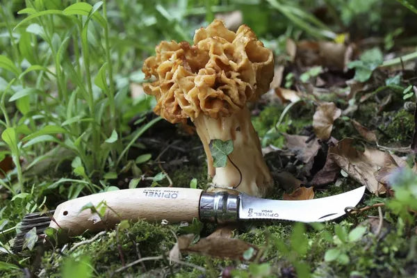 Opinel No.08 Mushroom Folding Knife (001252)